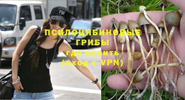 трава Абаза