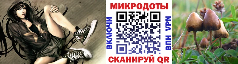 Галлюциногенные грибы прущие грибы  мега   Абаза  где купить наркоту 